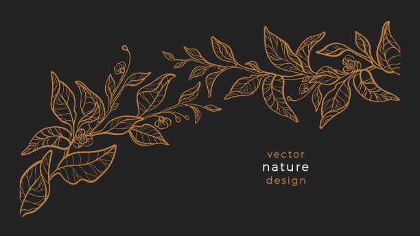 艺术线植物茶叶金色复古花环图片下载