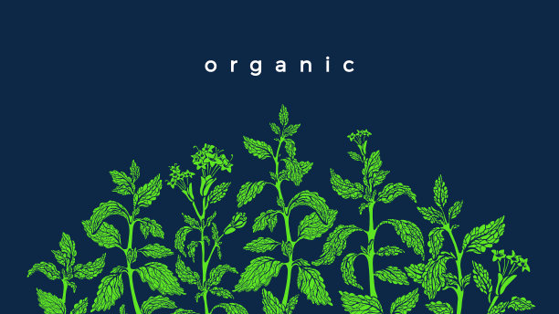 绿色模板新鲜植物草本饮料图片下载