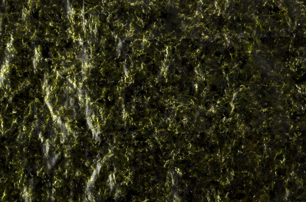 日本干紫菜。烤海藻背景或质地图片下载