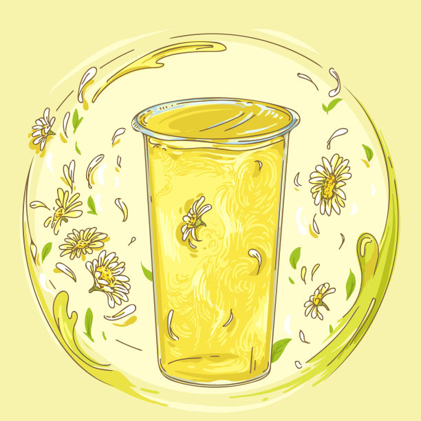 手绘矢量插图的传统健康茶饮料，菊花茶。图片下载