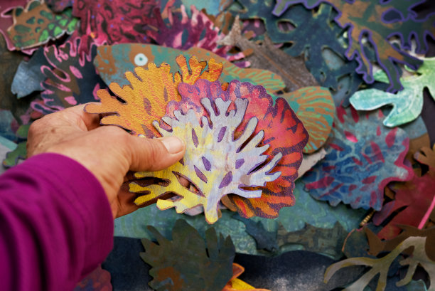 为纸拼贴选择形状。海草和鱼图片下载