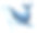 水彩蓝鲸。手绘海洋生物插图。海洋野生水下动物。海洋clipart，单一设计元素隔离可爱的设计图片下载