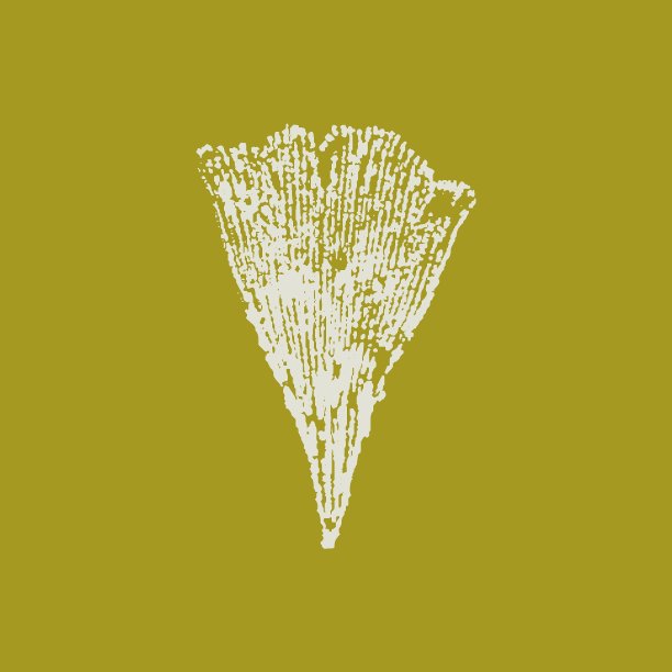 银杏叶树矢量图。图片下载