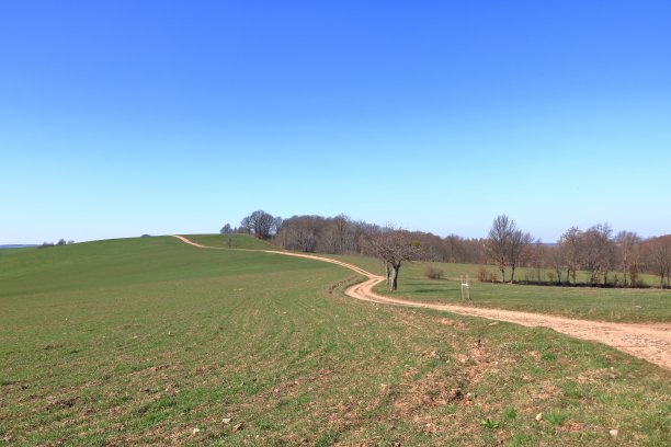 这是一条不知通往何处的乡村公路图片下载