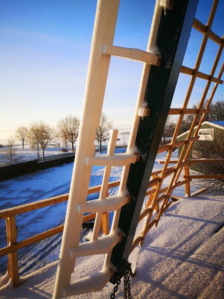 春天和冬天图片下载