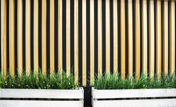 植被，绿色的草与植物叶子孤立的背景木棍。现代室内图片下载