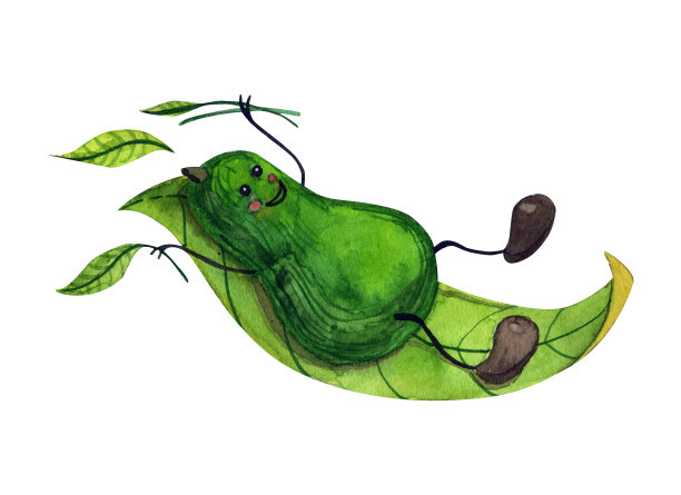 水彩鳄梨图片下载