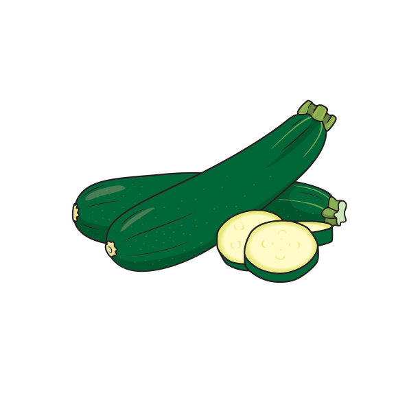 矢量插图西葫芦分离在白色的背景。有机蔬菜和水果的卡通概念。教育和学校儿童涂色页，可打印，活动，工作表，抽认卡。图片下载