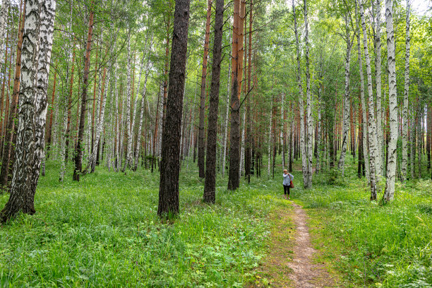 高加索妇女享受在鹿溪自然公园在乌拉尔，西亚，俄罗斯塞尔加河图片下载
