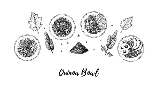 一套手绘藜麦碗和沙拉。矢量插图在素描风格图片下载