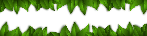 向量孤立的背景与现实的绿叶。图片下载