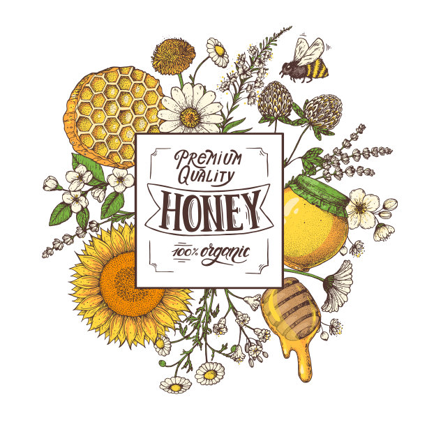 蜂蜜手绘矢量插图。蜂蜜标签。健康食品的说明。刻字优质蜂蜜100%有机。蜂窝，花，蜂蜜罐。图片下载