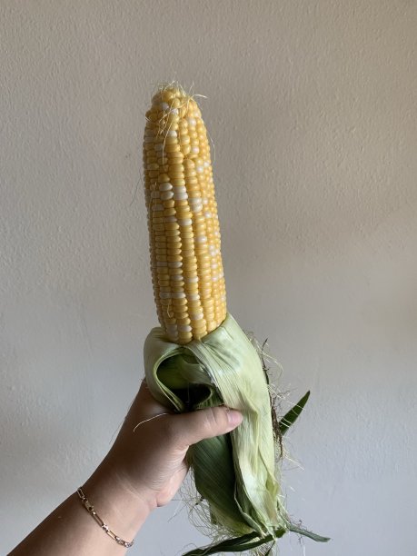 生玉米图片下载