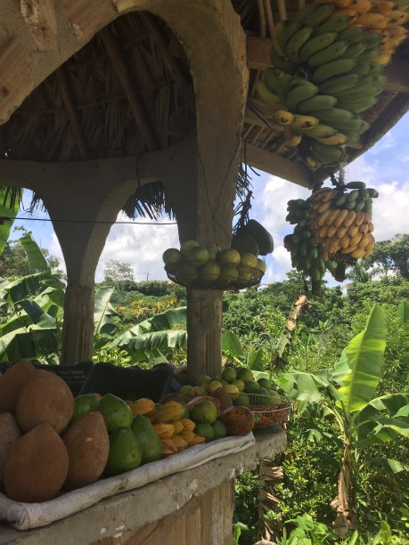 古巴-瓜纳亚拉自然公园-亭图片下载