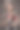 二三十年代复古女性肖像。一位美女抱着一只小猴子。图片下载