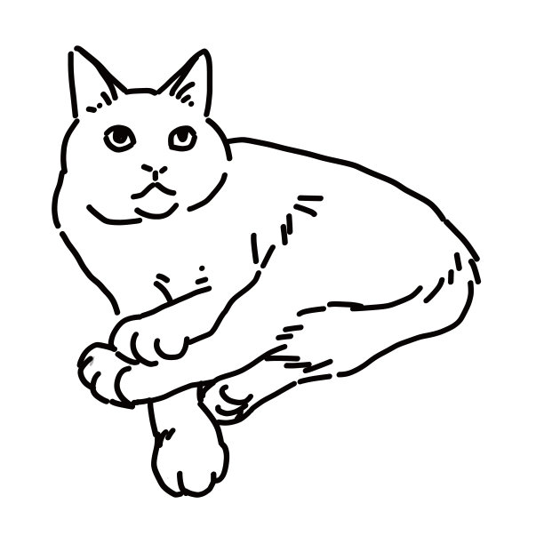 画一只猫的全身图片下载