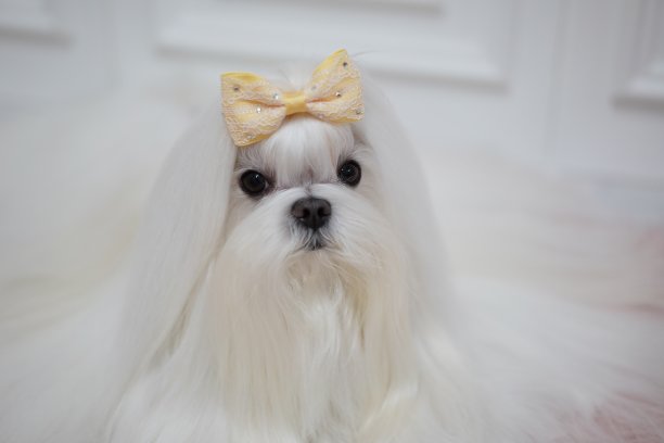 马耳他图片下载