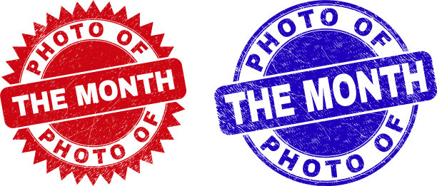 月圆的照片和玫瑰图案印在一起图片下载