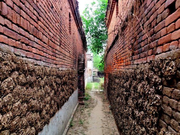 在印度，牛粪饼在砖墙上穿过一条狭窄的街道图片下载