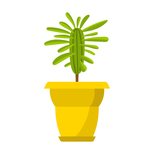 室内植物，黄色花盆中的马利筋。家庭落叶植物。平的风格。图片下载