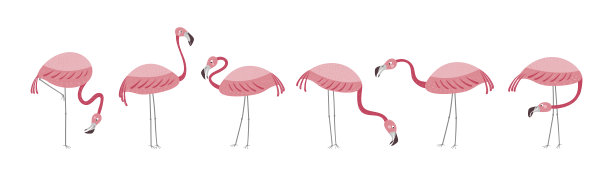 向量集六只火烈鸟。火烈鸟孤立地站在白色的背景上。手绘插图。图片下载