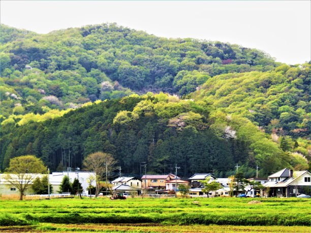 日本。4月。山里的一个小村庄。图片下载