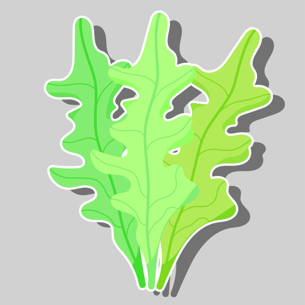 芝麻菜和蔬菜园贴纸。健康的概念图片下载