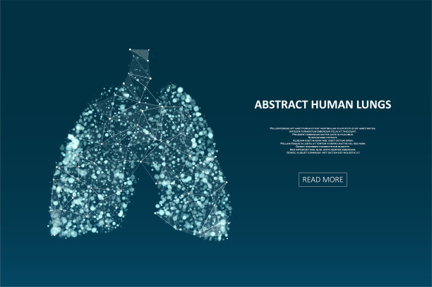摘要人类肺部图片下载