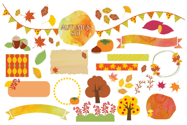 秋天的材料。图片下载