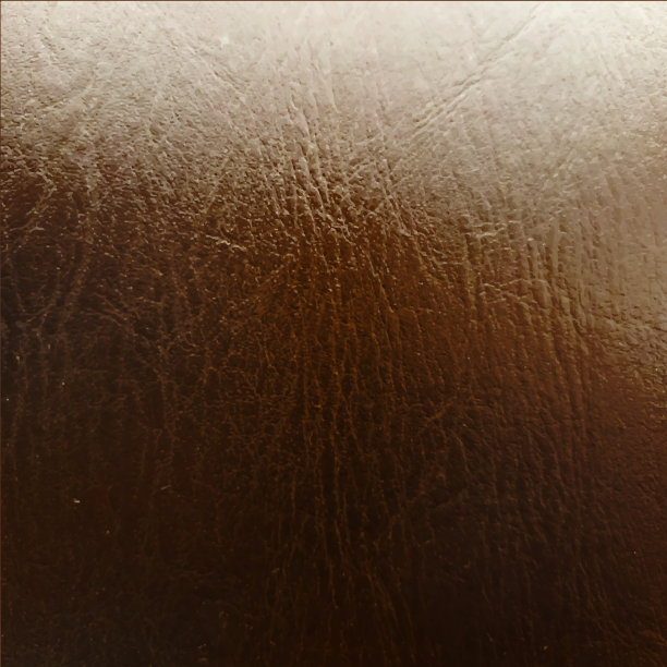 木材数码纸涂漆木材图片下载