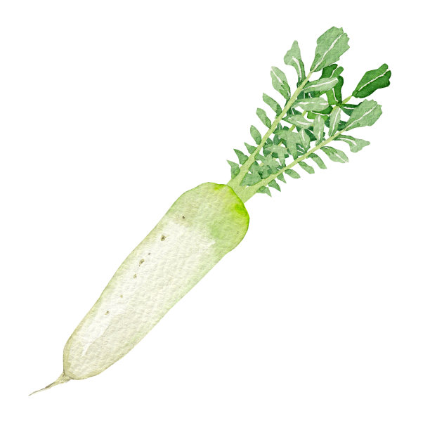 农业萝卜图片下载