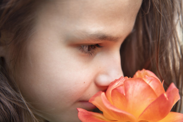 一个长着长发和一朵红玫瑰的女孩的脸的特写。温柔的概念图片下载