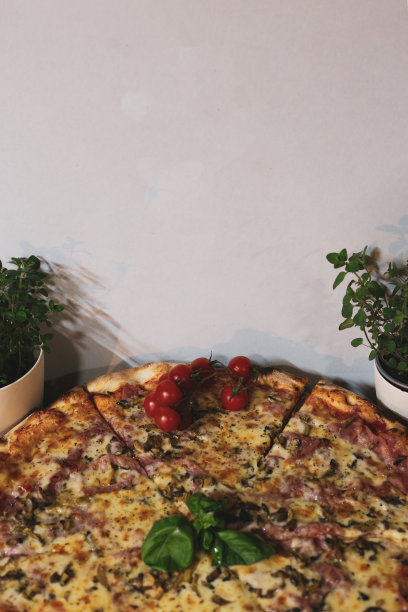 白蘑菇，火腿，朝鲜蓟，西红柿，橄榄，帕尔马干酪和马苏里拉奶酪配木背景图片图片下载