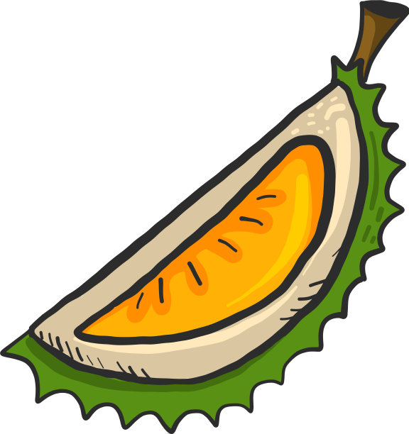 白色背景上的小块榴莲图片下载