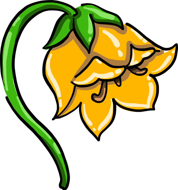 白色背景上悲哀的黄花图片下载