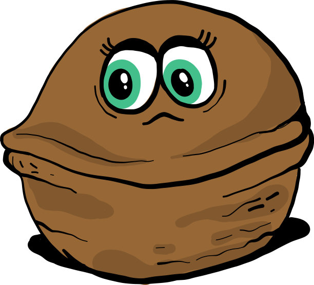 白色背景上有绿眼睛的核桃图片下载