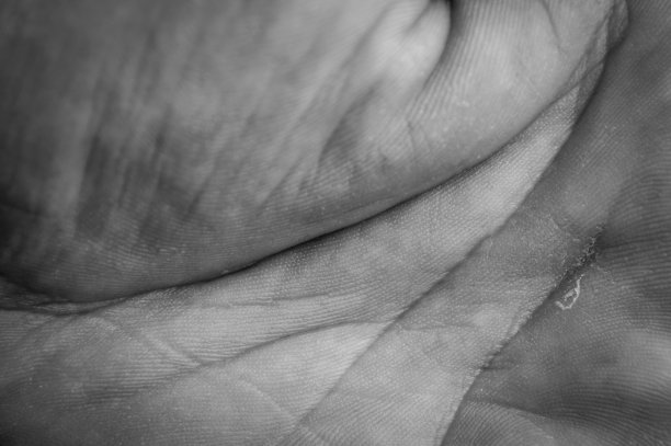 在黑色和白色的宏观视图的手掌的人类男性的线条和皮肤纹理图片下载