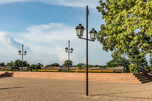 公园里的风景有树木和蓝天。图片下载