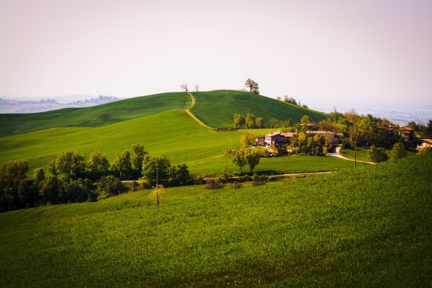 在山顶上图片下载