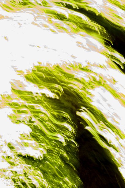 大自然中的绿色图片下载