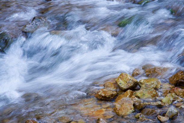 塔拉国家公园的河流流速加快。图片下载