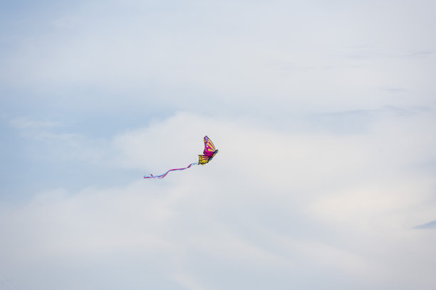 会飞的蝴蝶风筝图片下载