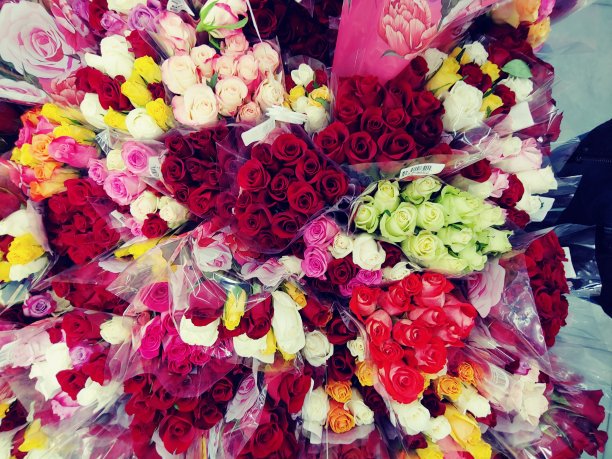 加利福尼亚母亲节的一束玫瑰图片下载