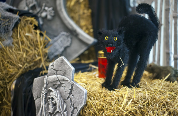 一只看起来吓人的玩具猫和撕心裂肺图片下载