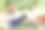 田野里的小印度山羊图片下载