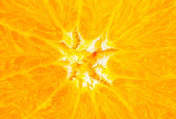 特写照片的橙色在白色的背景。橙子水果切成两半，里面，宏观视图。美丽的大自然壁纸。图片下载