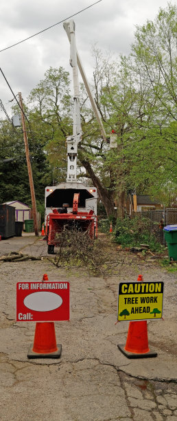 附近小巷的树木工地图片下载