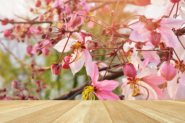 空木桌上模糊的粉红色花产品展示和对象图片下载