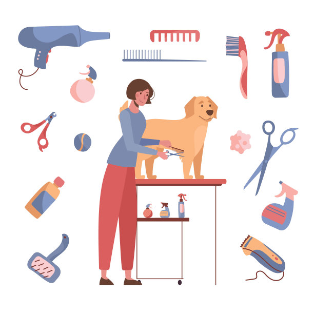 狗梳理毛发。一位女士为金毛猎犬理发。矢量插图孤立的白色背景。卡通风格。周边护理产品，洗发水，镊子，梳子，理发器，剪刀图片下载