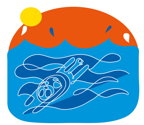 海龟的单线画图片下载